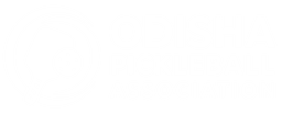 Odisha Pickleball Association Logo